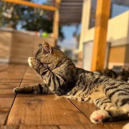 Karavana Tropicana Varna