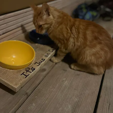 Karavana Tropicana * Varna