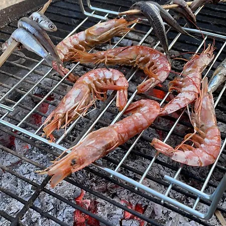 Karavana Tropicana Кемпинг Варна