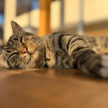 Кемпинг Karavana Tropicana